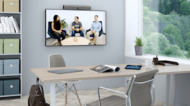 פגישות זום עם ניט, צילום: באדיבות Neat