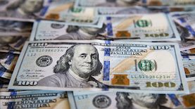 דולרים, צילום: פלאש 90/ נתי שוחט