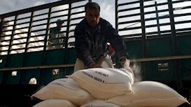 שקי קמח, צילום: תאיר אלחסני פלאש90