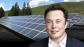 אילון מאסק, לוחות סולאריים, צילום: ויקיפדיה, pexels