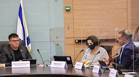 הדיון בוועדת הכלכלה, צילום: דוברות הכנסת, נועם מושקוביץ