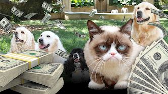 חיות המחמד העשירות בעולם, צילום: פייסבוק/ Oprah Winfrey, Grumpy Cat