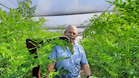 יערות מורינגה, צילום: יערות מורינגה