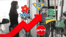 מחירי הדלק עולים, צילום: Magma Images