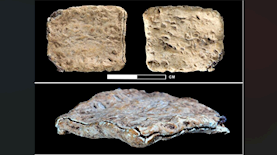 הכתובת שהתגלתה בהר עיבל, צילום: Michael C. Luddeni