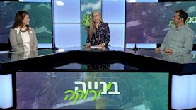 פאנל בנייה ירוקה, צילום: ice