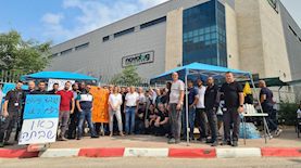 עובדי נובולוג מוחים, צילום: פרטי