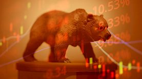 שוק דובי, צילום: vecteezy