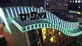 נאפיס, צילום: פייסבוק/ נאפיס