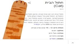 צילום: צילום מסך מגוגל