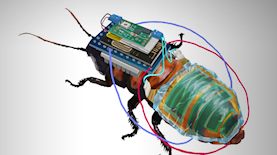 תיקן הסייבר, צילום: RIKEN