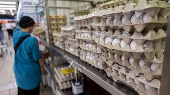 ביצים, צילום: פלאש 90/ יונתן זינדל
