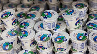 קוטג', צילום: פלאש 90/ יונתן זינדל