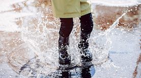 שלוליות, צילום: freepik