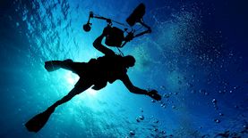 צוללנים מחפשים אחר תכשיטים-אילוסטרציה, צילום: pixabay