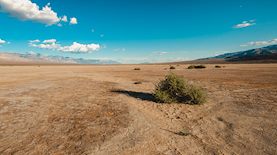 בצורת, צילום: freepik