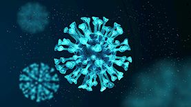 וירוס הקורונה, צילום: vecteezy