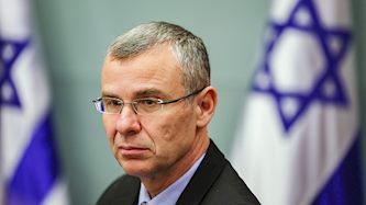 יריב לוין, צילום: פלאש 90/ יונתן זינדל