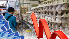 מחירי הביצים מזנקים, צילום: פלאש 90/ יונתן זינדל, shutterstock