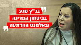 טלי גוטליב, צילום: פלאש 90/ יונתן זינדל