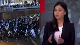 מגי טביבי, הפגנות נגד הרפורמה המשפטית, צילום: יוטיוב/ עכשיו 14, פלאש 90/ גילי יערי