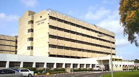 הלל יפה, צילום: RickP