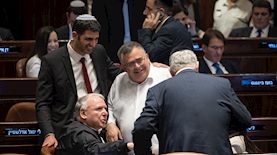 חברי הליכוד בכנסת, צילום: פלאש90