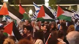דגלי פלסטין בהפגנה, צילום: מסך פייסבוק הצל