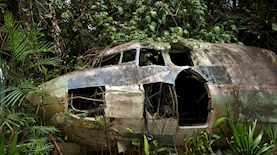 התרסקות מטוס-אילוסטרציה, צילום: shutterstock