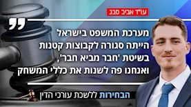 עו"ד אביב סבג, צילום: shutterstock