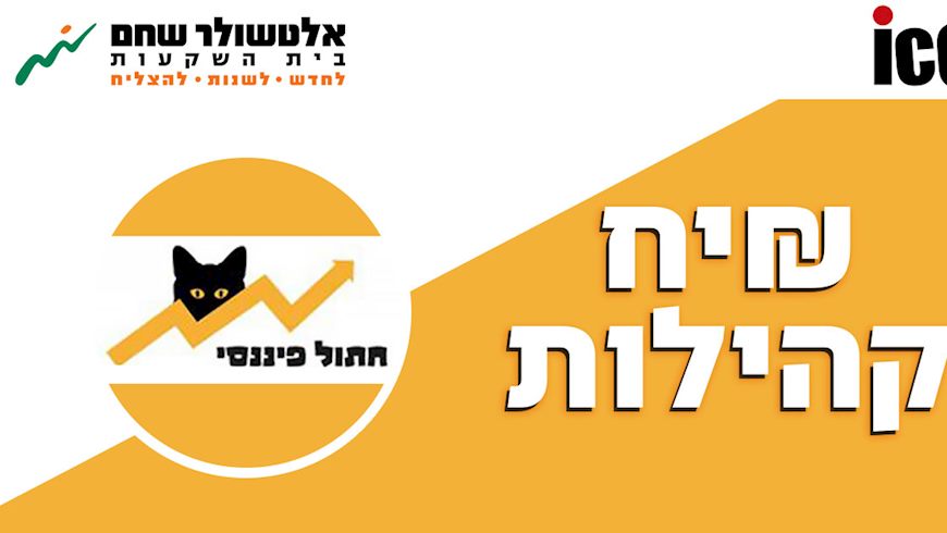 חתול פיננסי