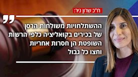 ח"כ שרון ניר, צילום: shutterstock, פלאש 90/ יונתן זינדל