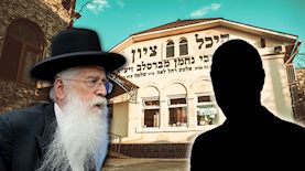 מאיר פרוש, צילום: shutterstock, פלאש 90/ חיים גולדברג