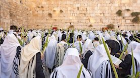 חג סוכות, צילום: shutterstock