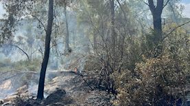 השריפה בפארק קנדה, צילום: דוברות כבאות והצלה