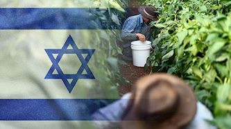 חקלאות בזמן מלחמה, צילום: vecteezy, פלאש 90/ דור פזואלו