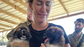 מיזם מתגייסים למענם, צילום: ענבל מייזלס