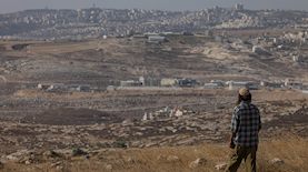 צילום: פלאש 90/ חיים גולדברג
