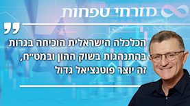 רונן מנחם, צילום: shutterstock, אילן בשור