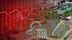 רשות הטבע והגנים-אילוסטרציה, צילום: shutterstock, ויקיפדיה