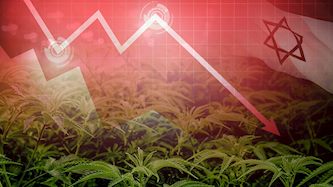 חברת קנאביס, צילום: unsplash, shutterstock