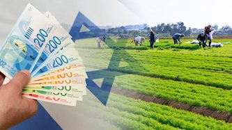 צילום: פלאש 90/ משה שי, shutterstock