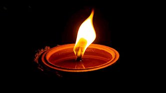 צילום: vecteezy