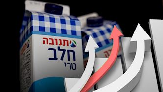 חלב, צילום: פלאש 90/ יונתן זינדל