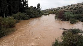 שטפונות-אילוסטרציה, צילום: פלאש 90/ יוסי זמיר
