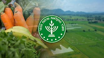 משרד החקלאות ופיתוח הכפר, צילום: פלאש 90/ הדס פרוש, shutterstock