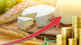 חג השבועות, צילום: shutterstock