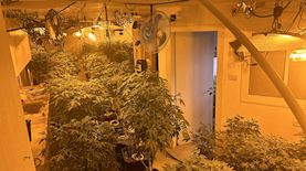 מעבדת סמים באריאל, צילום: דוברות משטרת ישראל