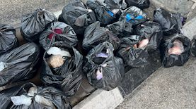 בשר שהוברח לישראל, צילום: דוברות משטרת ישראל