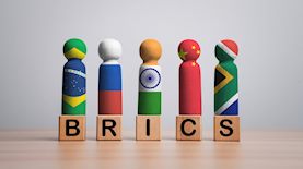 BRICS, צילום: shutterstock